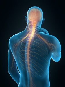 medically accurate 3d illustration of neck pain
